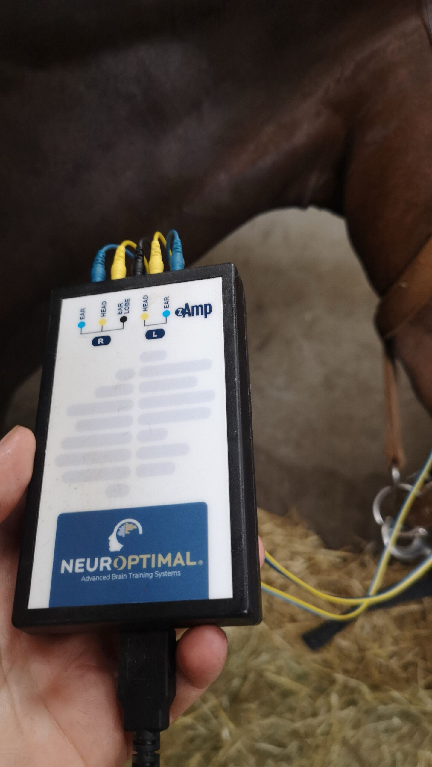 neurofeedback dynamique pour cheval de course